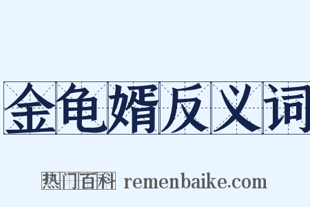 金龟婿反义词是什么意思的图片